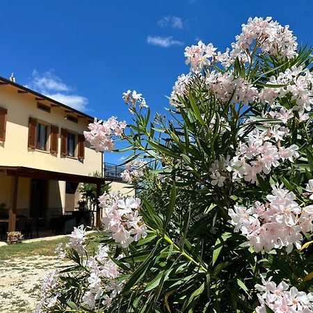 Appartamento Locazione Turistica L'Antica Sorgente Panicale Zewnętrze zdjęcie