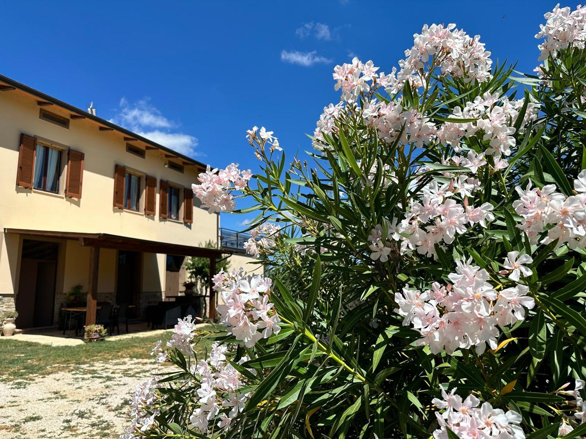 Appartamento Locazione Turistica L'Antica Sorgente Panicale Zewnętrze zdjęcie