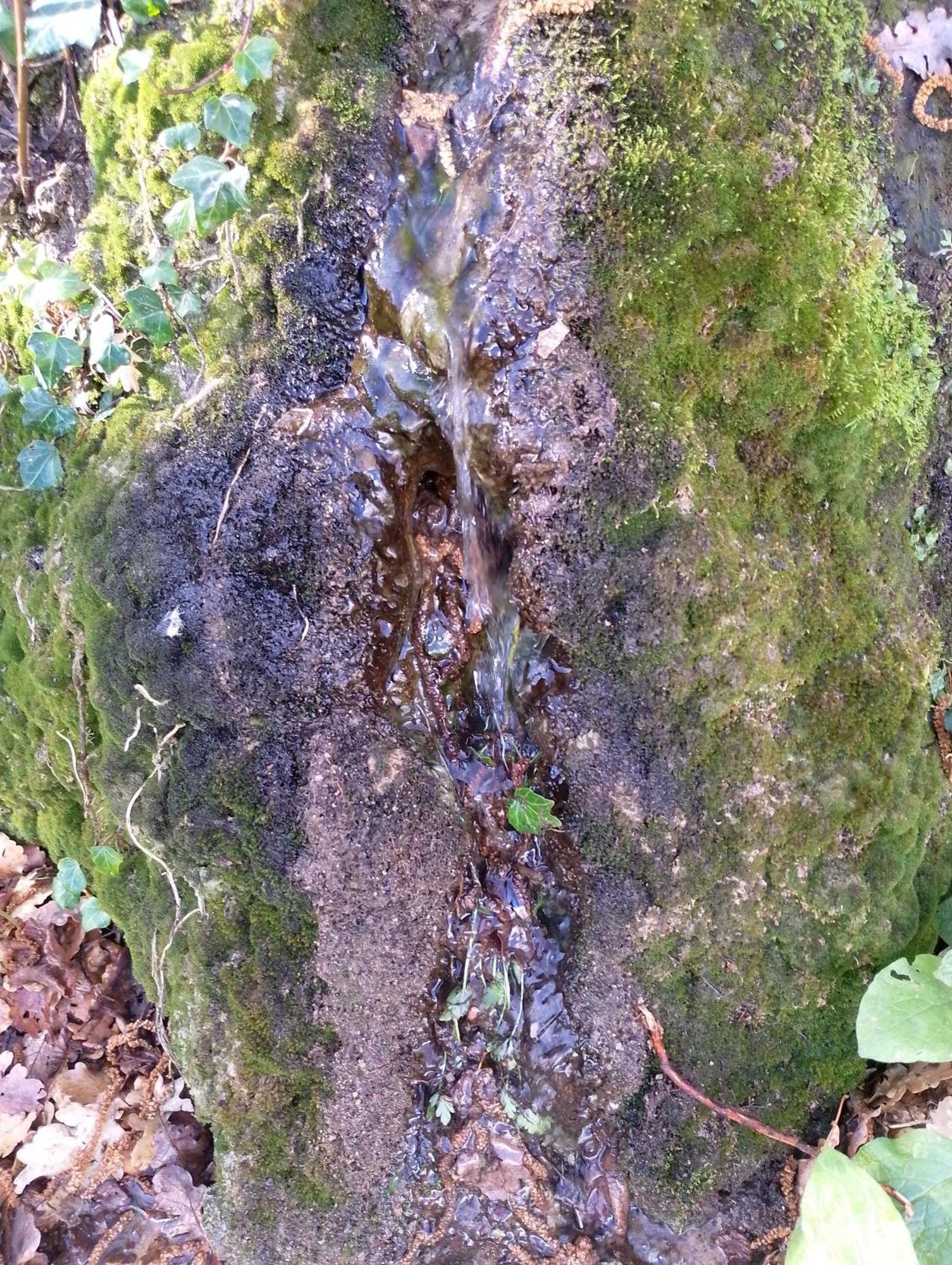 Appartamento Locazione Turistica L'Antica Sorgente Panicale Zewnętrze zdjęcie